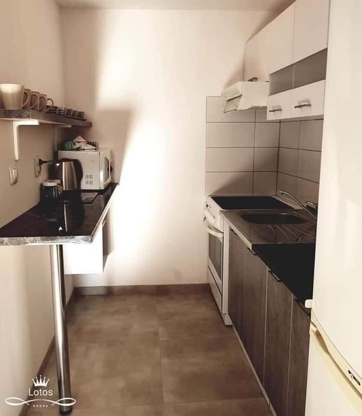 Apartament Lotos Zator Buitenkant foto